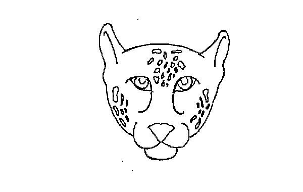leopard drawing
animal drawing
leopard face drawing
