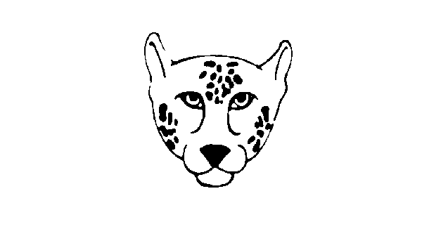 Leopard Face Drawing For Kids In 2020 With Full Tutorial
