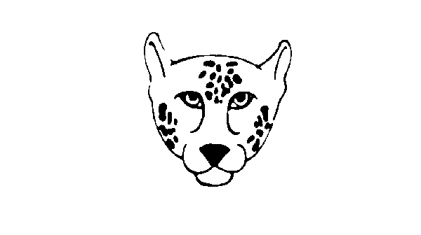 Jaguar Animal Drawing Face