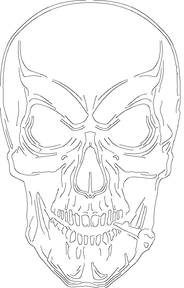 skull drawing
human skull drawing