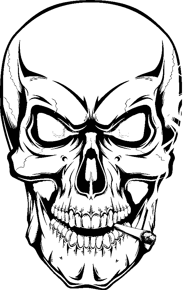 skull drawing
human skull drawing