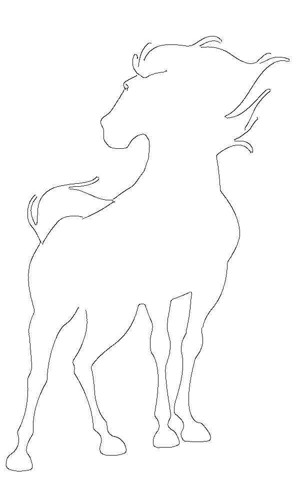 horse drawing
horse drawing easy