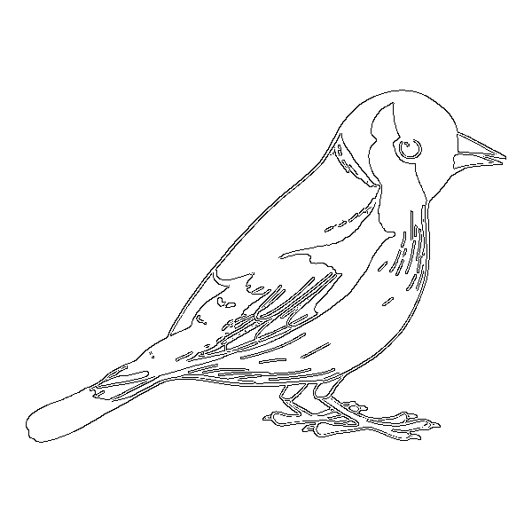 bird drawing
bird drawing easy 
