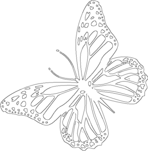 5 Ultimate Steps To Draw A Beautiful Butterfly Drawing - Easy drawing club