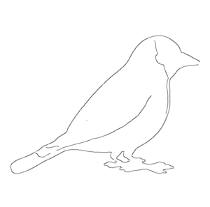 5 Easy Way To Draw A Bird Drawing Within 10 Minutes.