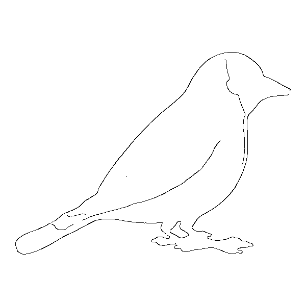 bird drawing
bird drawing easy 
