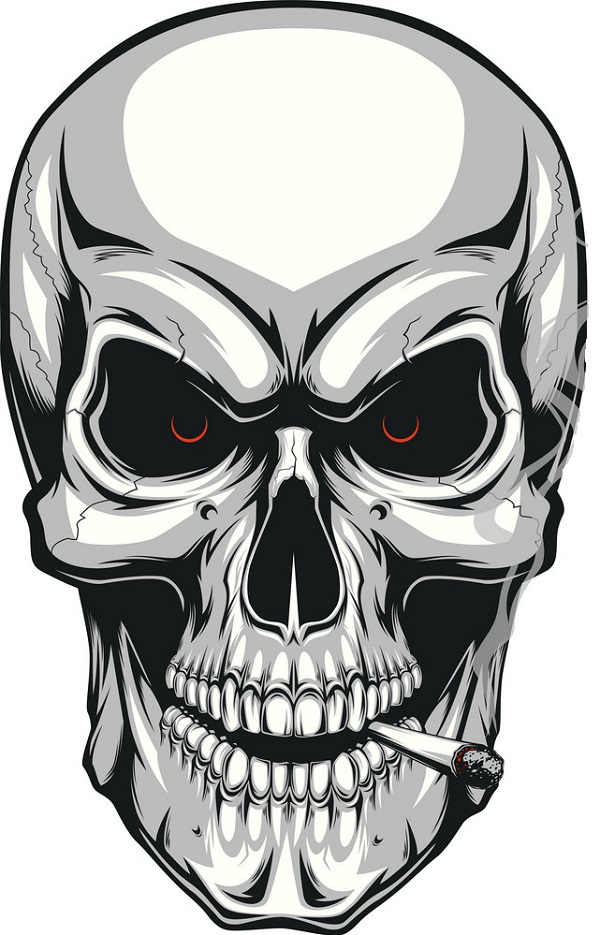 skull drawing
human skull drawing