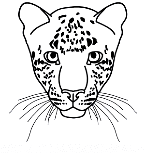 Leopard face drawing for kids in 2020 || with full tutorial.