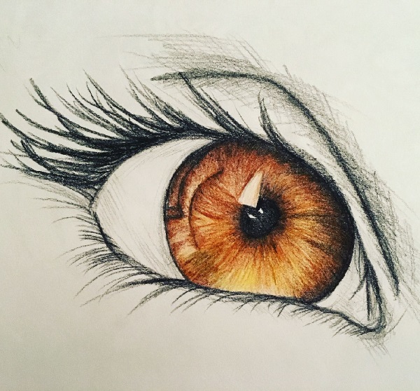 eye drawing
eye sketch
