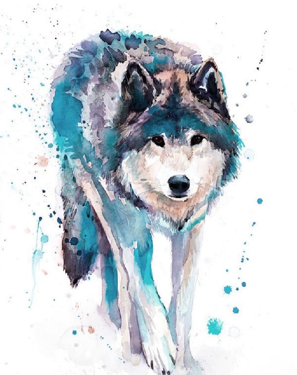 6 Easy Wolf Drawing Steps You Could Draw Quickly.