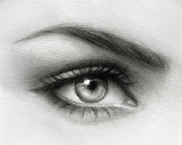 eye drawing
eye sketch
