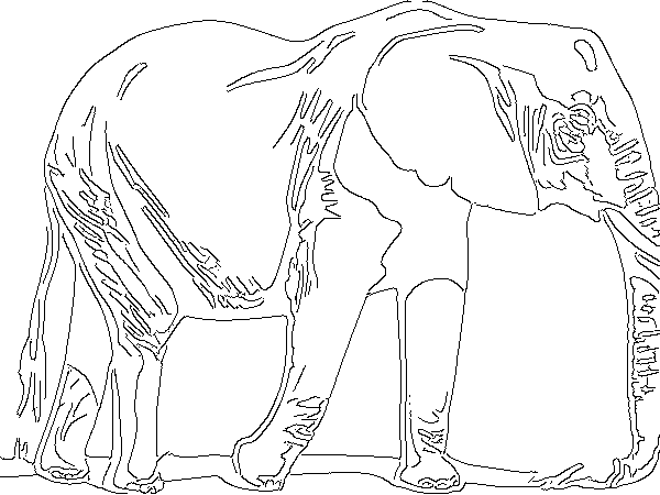 elephant drawing
elephant drawing easy
elephant sketch