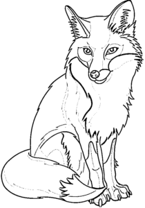 5 Way You Could Draw A Fox Drawing Easily || Animal Drawing.