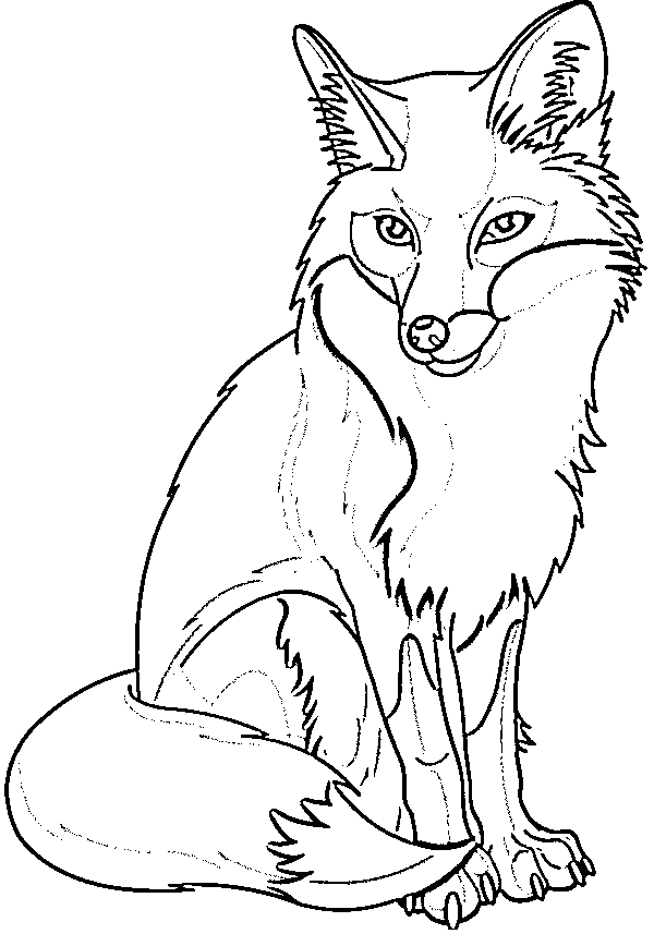 fox drawing
cute fox drawing
animal drawing