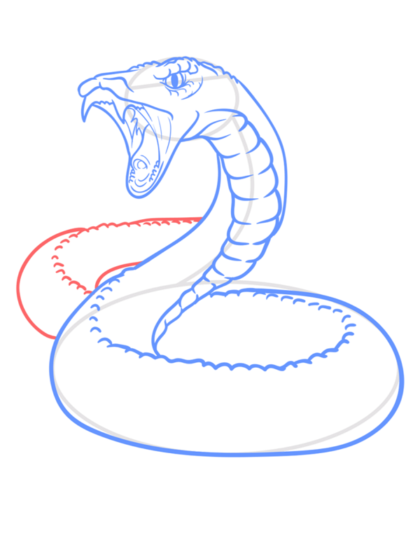 snake drawing
animal drawing