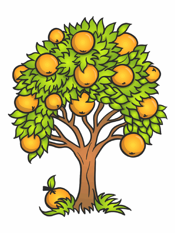 Featured image of post Tree Picture Drawing Easy : Choose your shape and line style, then draw out your tree diagram.