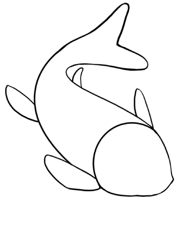 fish drawing
animal drawing