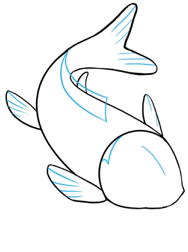 fish drawing
animal drawing