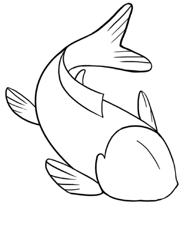 fish drawing
animal drawing