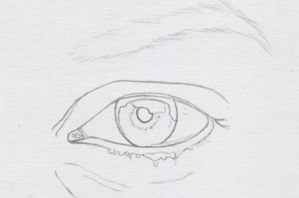 eye drawing
eye sketch
