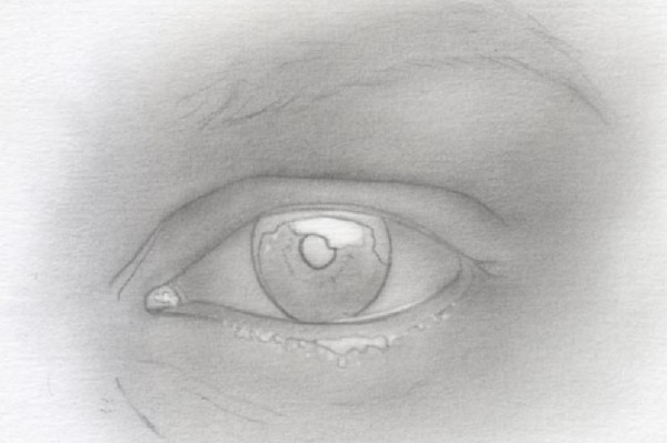 eye drawing
eye sketch
