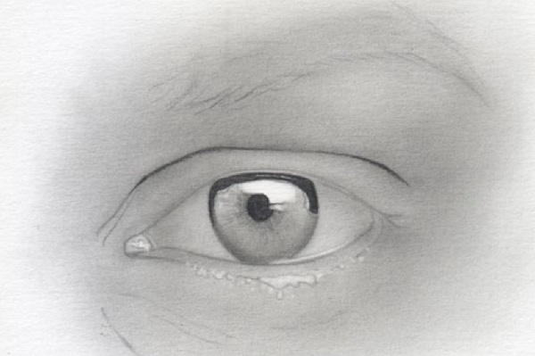 eye drawing
eye sketch
