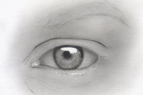 eye drawing
eye sketch
