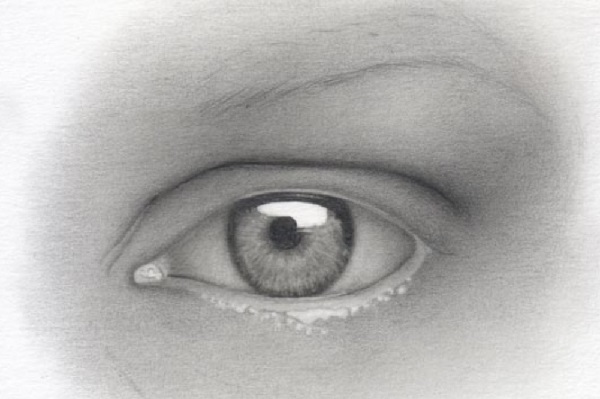 eye drawing
eye sketch
