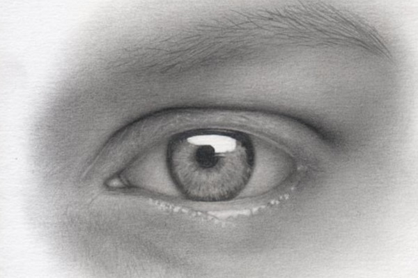 eye drawing
eye sketch
