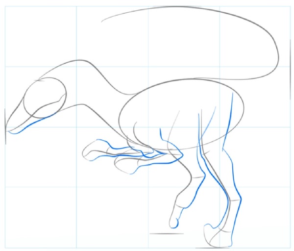 dinosaur drawing
animal drawing