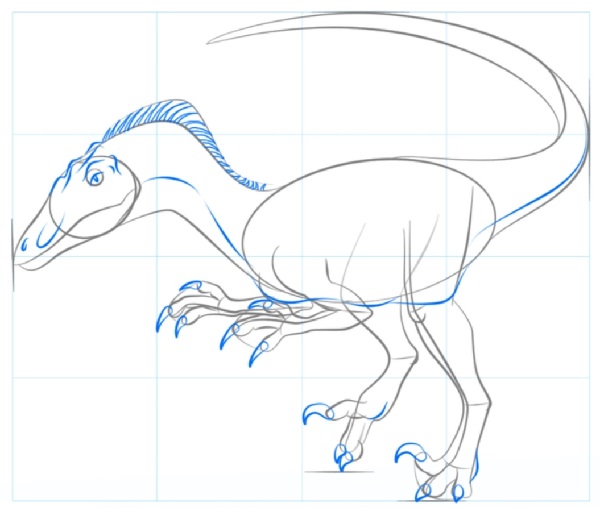 dinosaur drawing
animal drawing