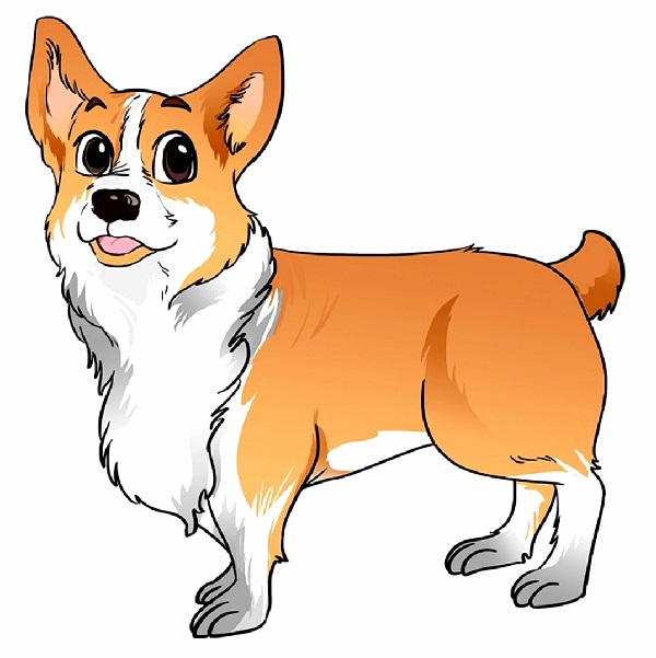 dog drawing