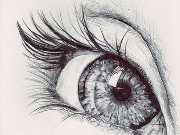 eye drawing
eye sketch
