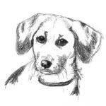 Learn To Draw A Cute Dog Drawing For Kids Within 10 Simple Steps.