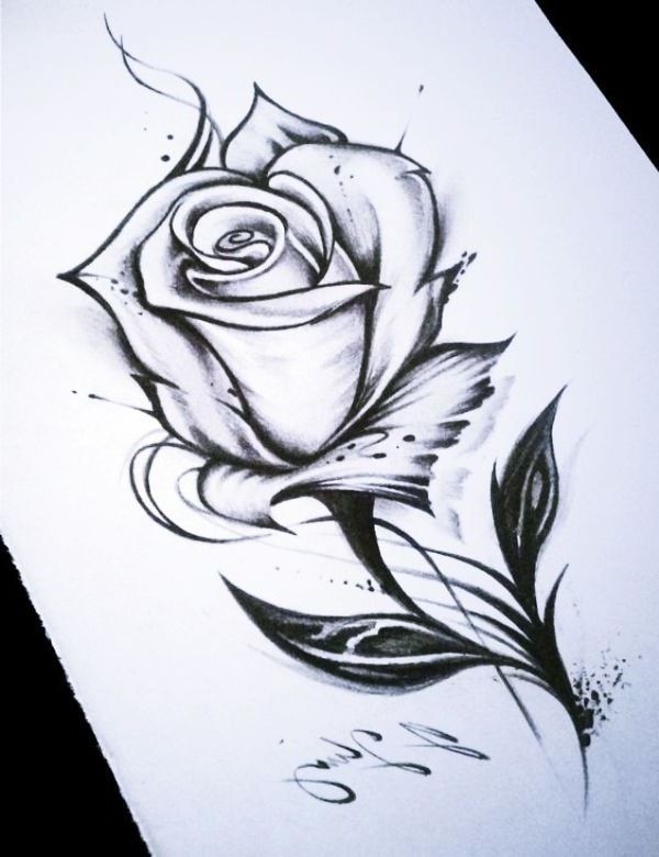 20 + Best & Cool Rose Drawing Ideas Flower Drawing.