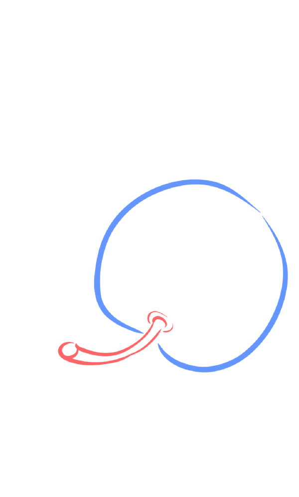 apple drawing
apple drawing easy
fruit drawing