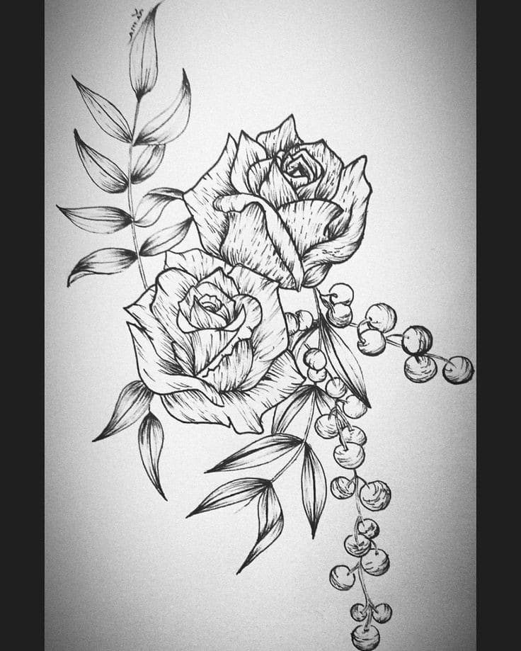 20 + Best & Cool Rose Drawing Ideas Flower Drawing.