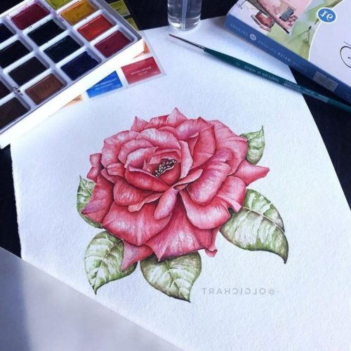 20 + Best & Cool Rose Drawing Ideas - Flower Drawing.