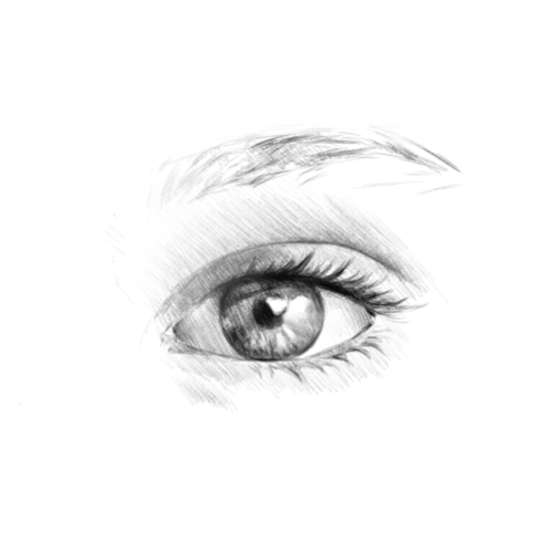 The Best way to draw Eye Sketch in 5 Simple Steps | Easy Tutorial